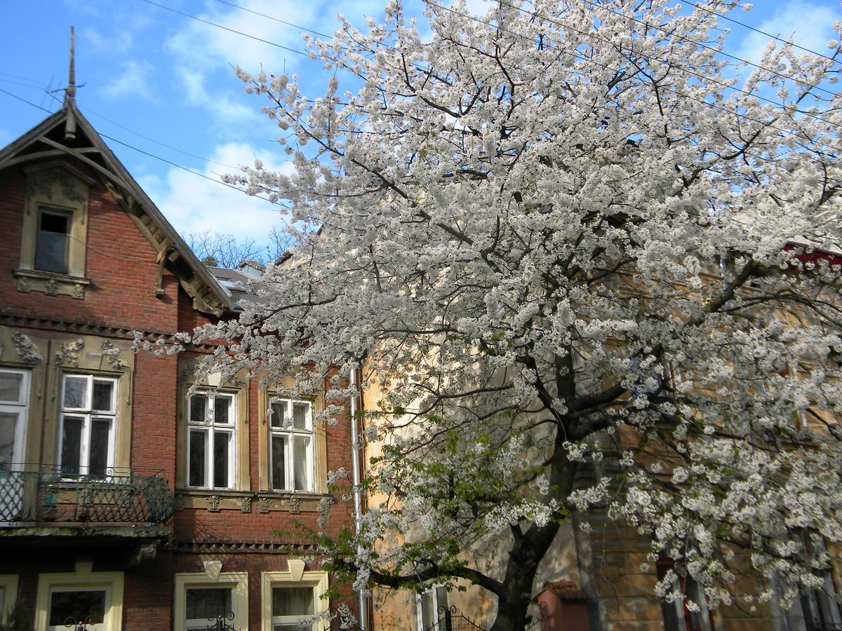 Studios At Anchevskih 3 Lviv Eksteriør billede