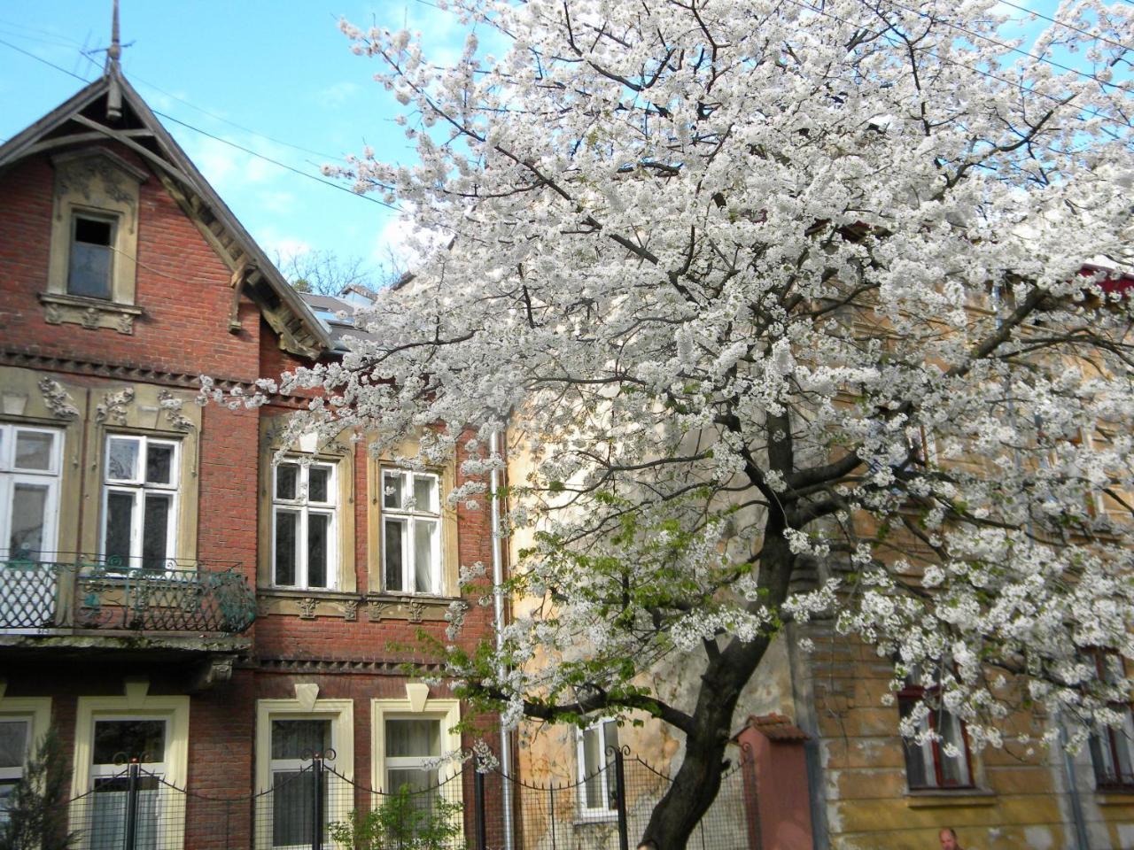 Studios At Anchevskih 3 Lviv Eksteriør billede
